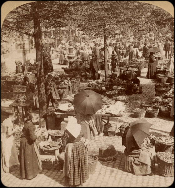 cologne market stalls